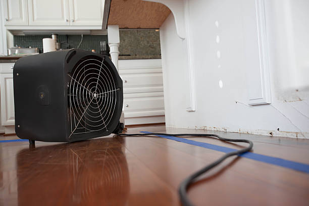 Best Dehumidification and Moisture Control in Pembroke, VA